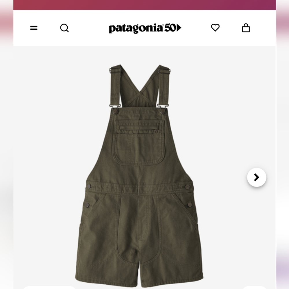 Patagonia Overalls